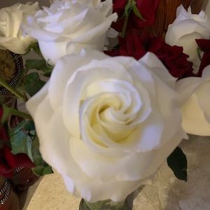 Meet your Posher, Adamiris